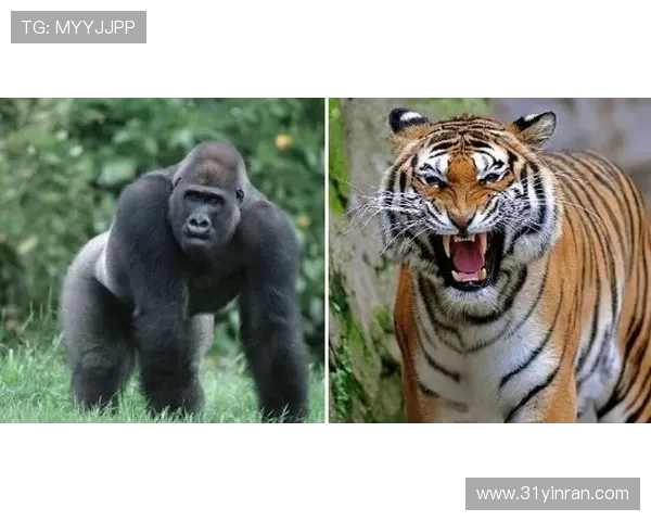 王者荣耀最新力量排行榜揭晓TES战队荣登第七名引发热议